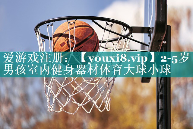 2-5岁男孩室内健身器材体育大球小球