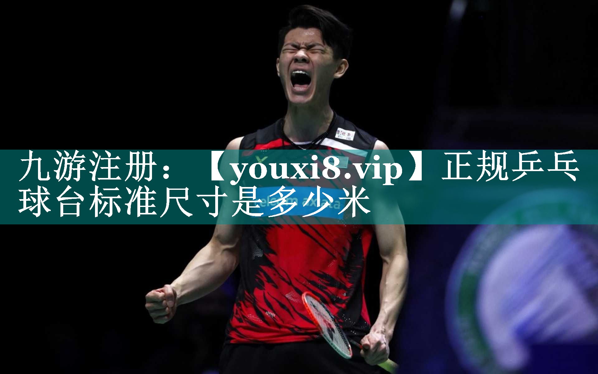 正规乒乓球台标准尺寸是多少米