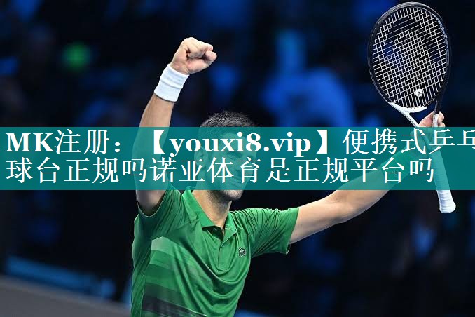 便携式乒乓球台正规吗诺亚体育是正规平台吗