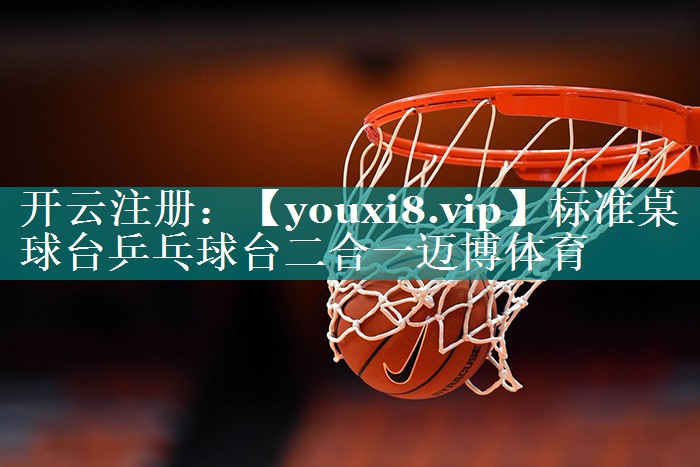标准桌球台乒乓球台二合一迈博体育